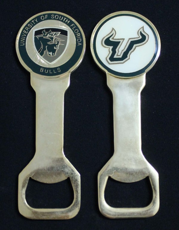 College - South Florida University
