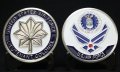 Lt Colonel