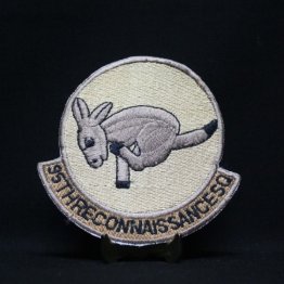 95th Reconnaissance