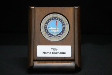 Wooden Coin Case 1
