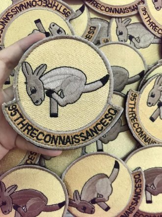 95th Reconnaissance