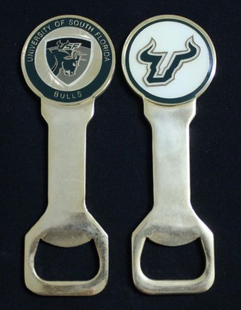 College - South Florida University