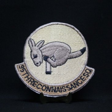 95th Reconnaissance