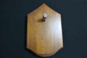 Rank - Chief Master Sergeant
