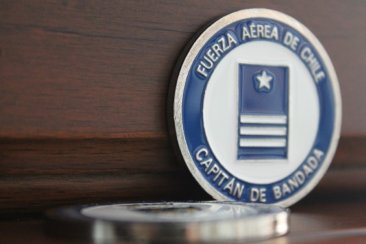 Capitan De Bandada