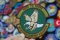 39th FSS