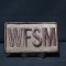 WFSM